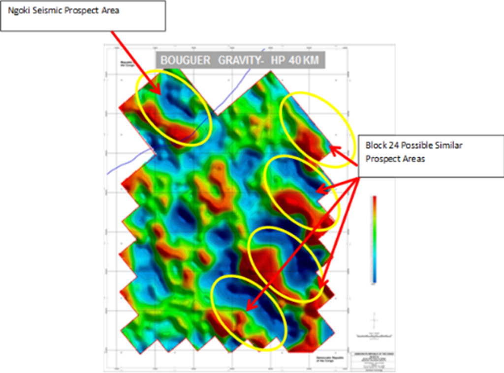 A series of prospective sedimentary basins (gravity lows in blue) are indicated here, lying here equally spaced with intermittently placed denser rocks (red).